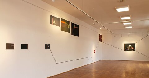 Muzeul de Arta, Arad, 2014 - 2